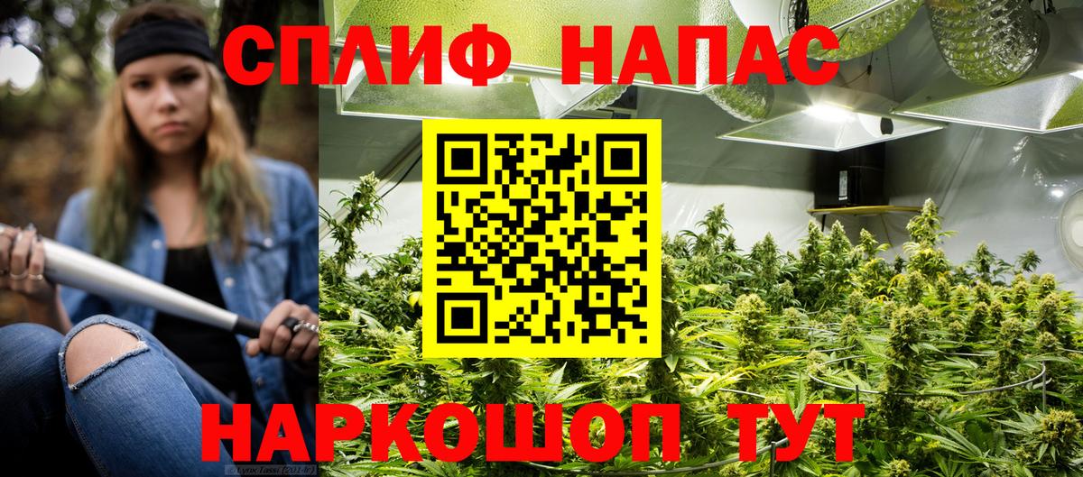 Шишки марихуана White Widow Кохма